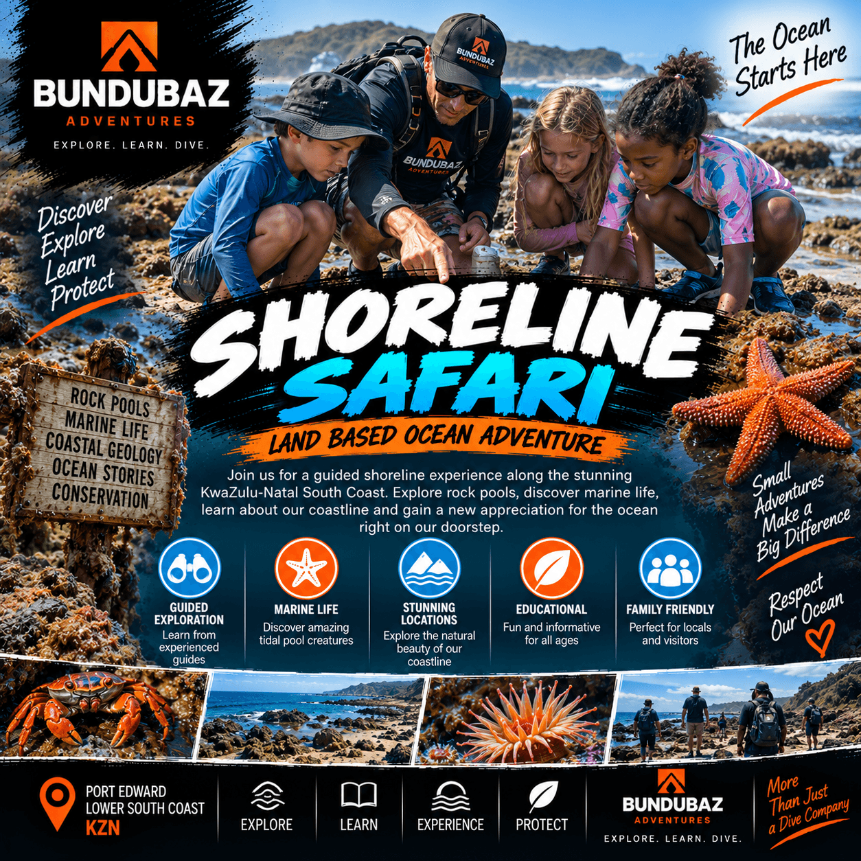 Shoreline Safari