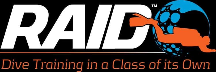 RAID logo